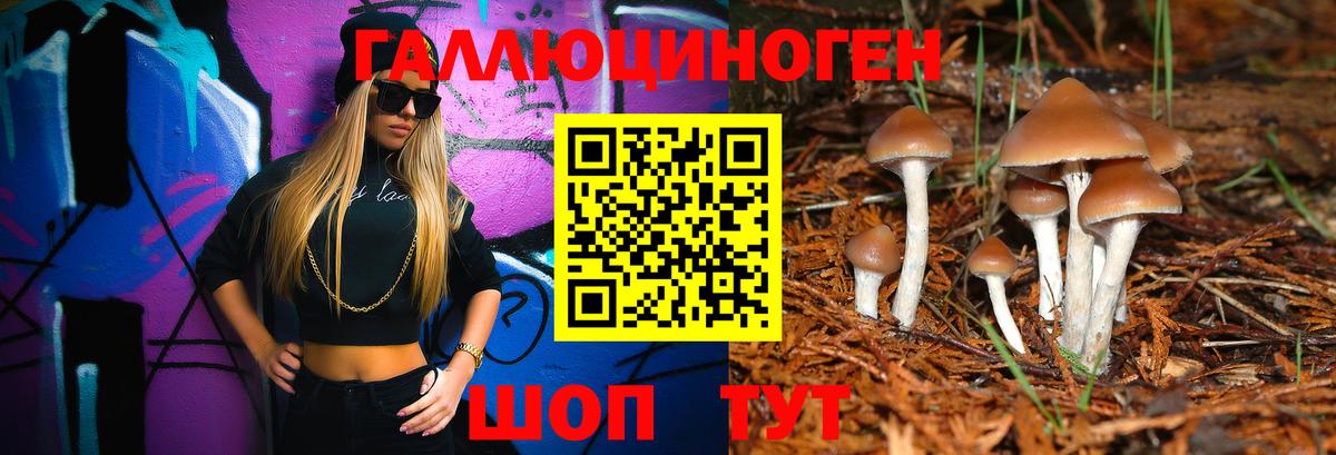 как найти закладки  Псилоцибиновые грибы мухоморы  Вход с VPN  Лесосибирск 